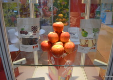 BC Tree Fruits from Canada export their apples across Asia.